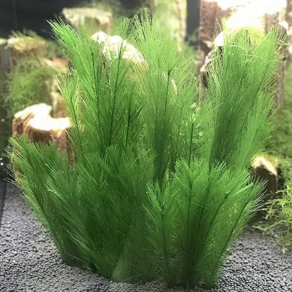Aquarium Plants Live - 1/3Pcs 28/40 ซม.Aquarium Fish Tank หญ้าน้ําประดิษฐ์น้ําพืชภูมิทัศน์ตกแต่งใต้น้ําพืชน้ําวัชพืชเครื่องประดับ
