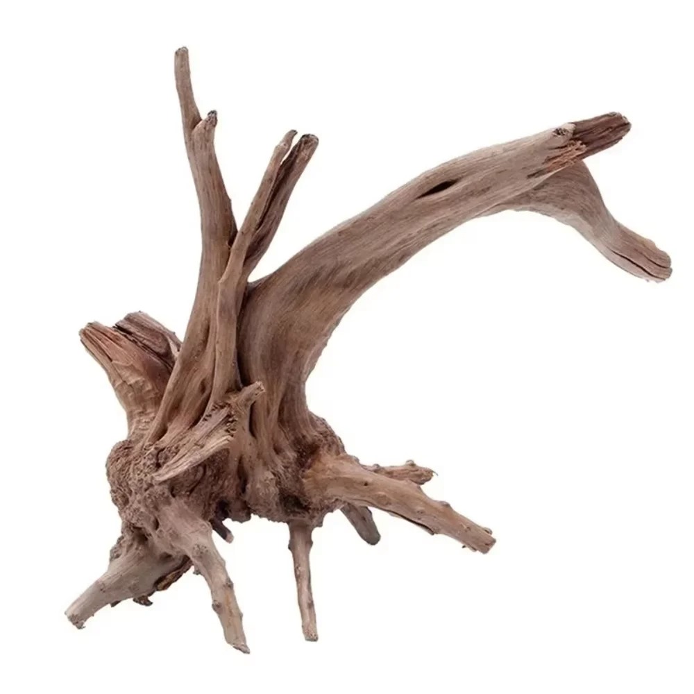 Aquarium Driftwood - ไม้ลอยน้ำธรรมชาติสำหรับตกแต่งตู้ปลา - ของตกแต่งตู้ปลาคุณภาพพรีเมียม, ภูมิทัศน์ไม้แท้สำหรับสภาพแวดล้อมทางน้ำ ขนาด 15-20