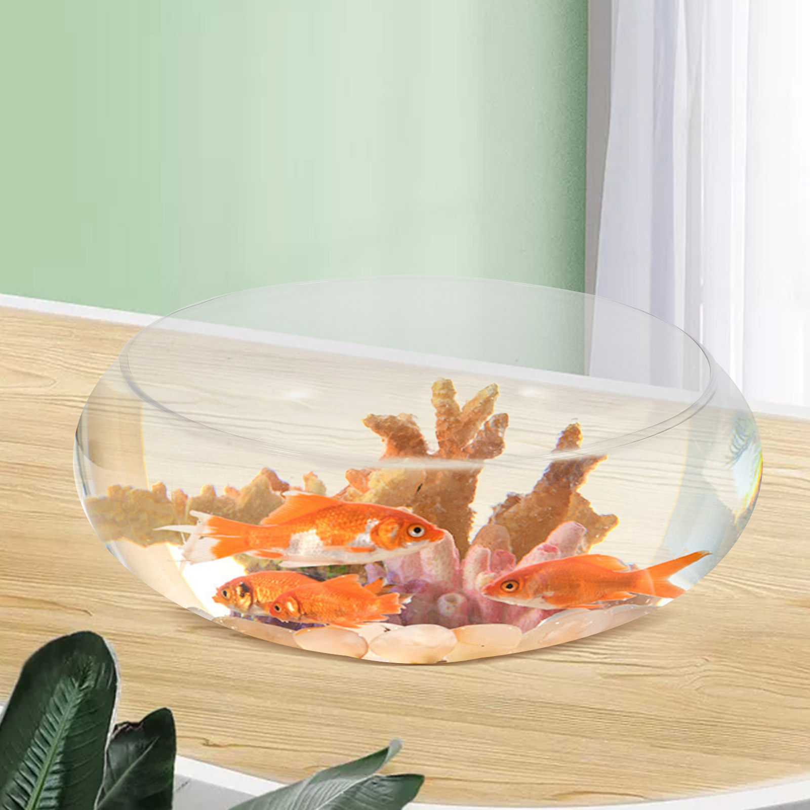 อ่างปลาแก้ว ตู้ปลาขนาดเล็ก ตู้ - Plant Aquarium Pot บทวิจารณ์และราคา