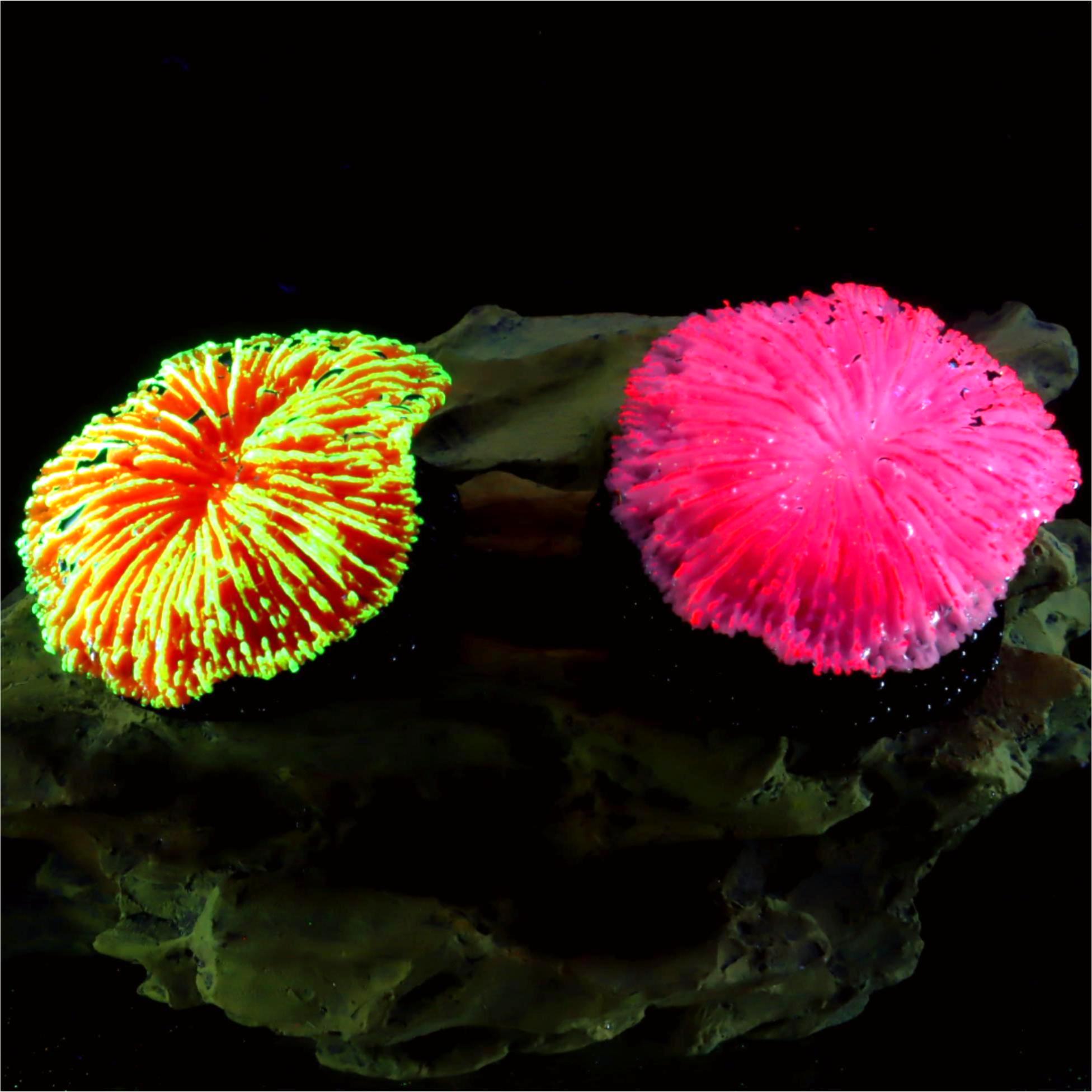 1 ชิ้น ของตกแต่งตู้ปลา ปะการัง - Aquarium Plants Live บทวิจารณ์และราคา