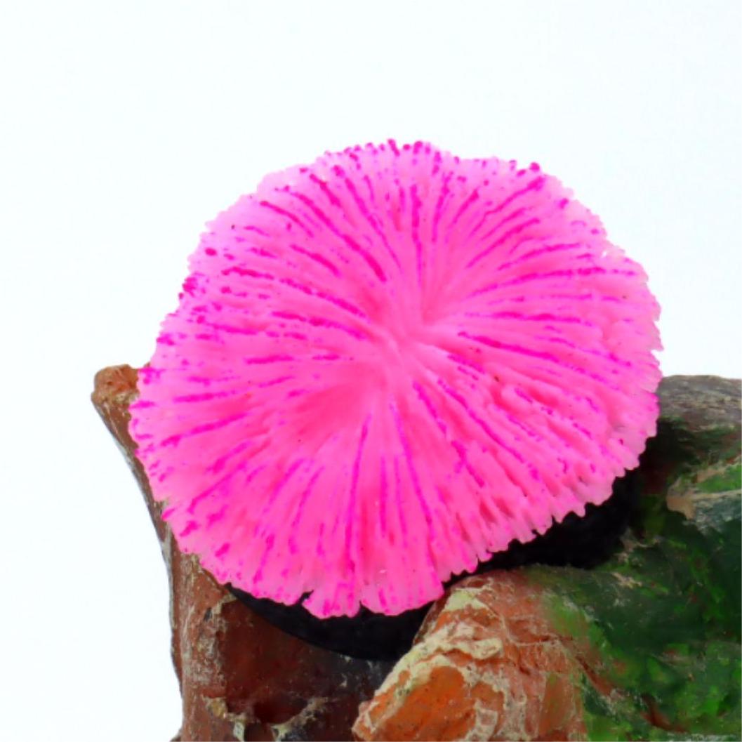 1 ชิ้น ของตกแต่งตู้ปลา ปะการัง - Aquarium Plants Live บทวิจารณ์และราคา
