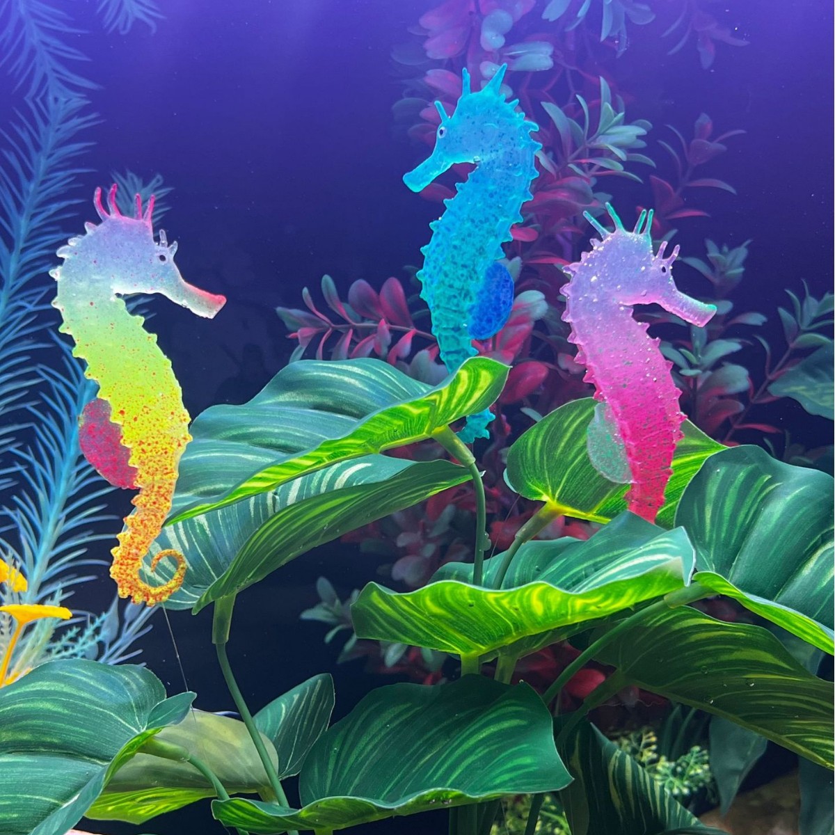 ของตกแต่งตู้ปลาจำลองรูปม้าน้ำเ - Aquarium Plant Substrate บทวิจารณ์และราคา