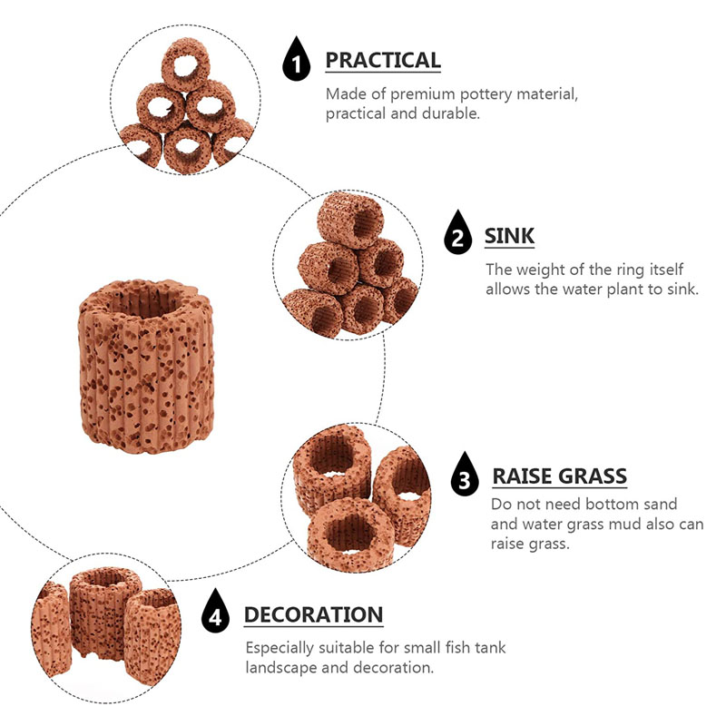 ของตกแต่งตู้ปลาแหวนกระถางต้นไม - Aquarium Plants Live บทวิจารณ์และราคา