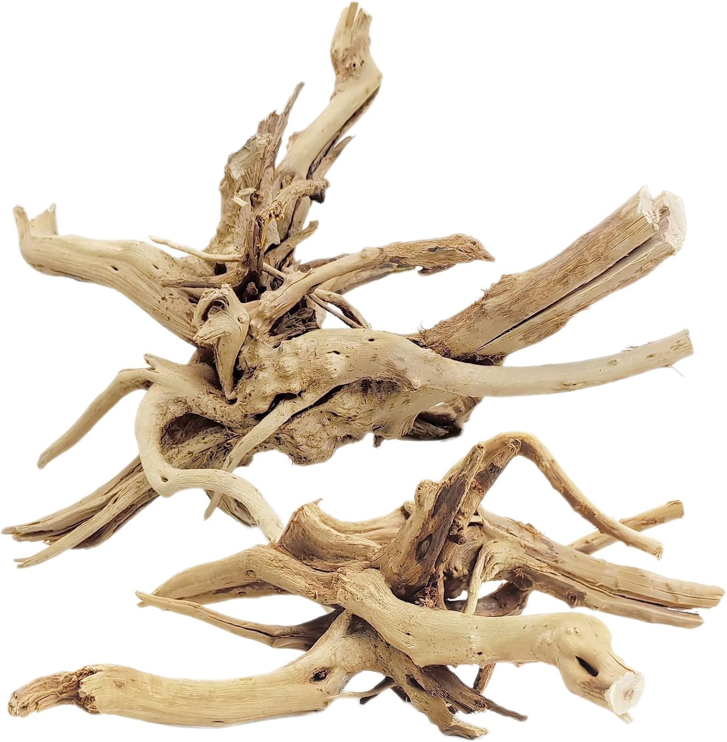 ไม้ลอยน้ำธรรมชาติขนาด 20-25 ซม - Aquarium Driftwood บทวิจารณ์และราคา