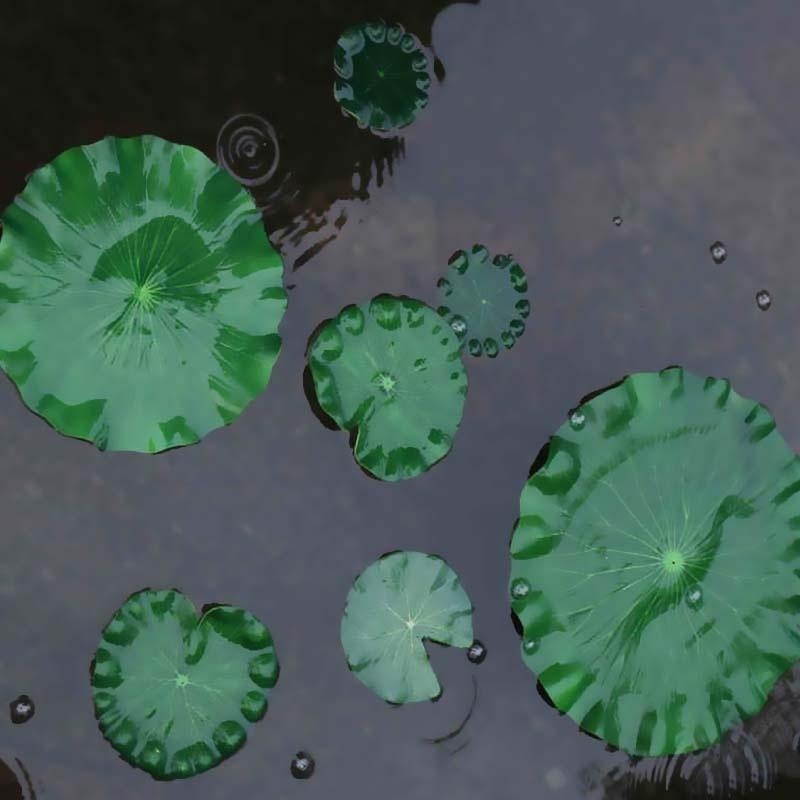 ใบบัวประดิษฐ์ ปี 2026 สำหรับตก - Aquarium Moss บทวิจารณ์และราคา