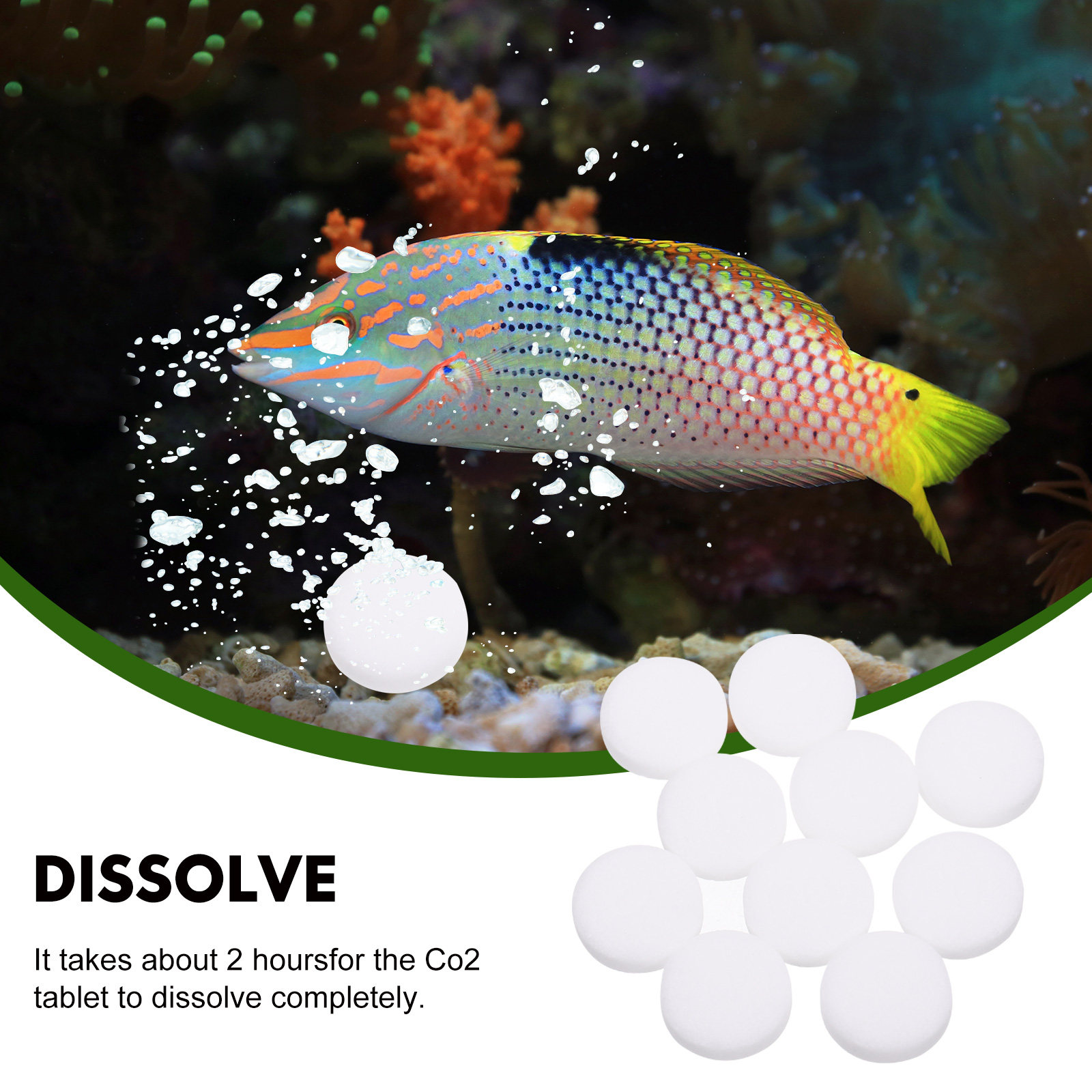 2 ถุง ปุ๋ยเม็ดสำหรับต้นไม้น้ำใ - Aquarium Fertilizer บทวิจารณ์และราคา