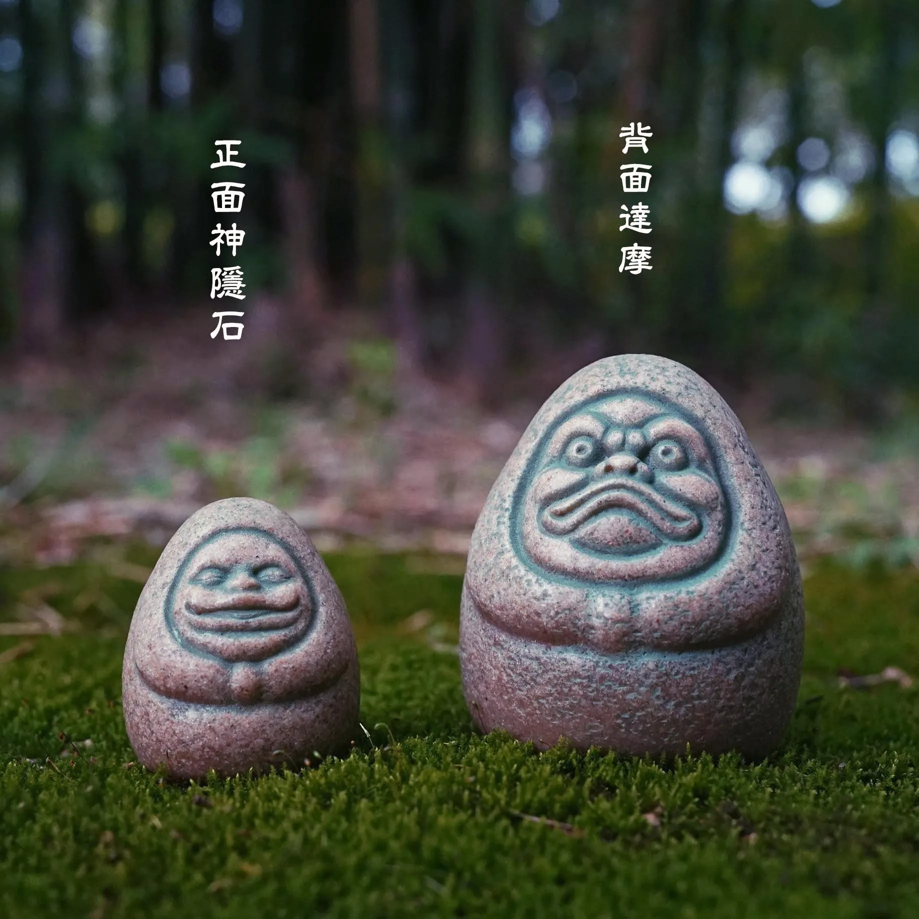 Kaminishi ซ่อน Dharma อะนิเมะฉ - Aquarium Moss บทวิจารณ์และราคา