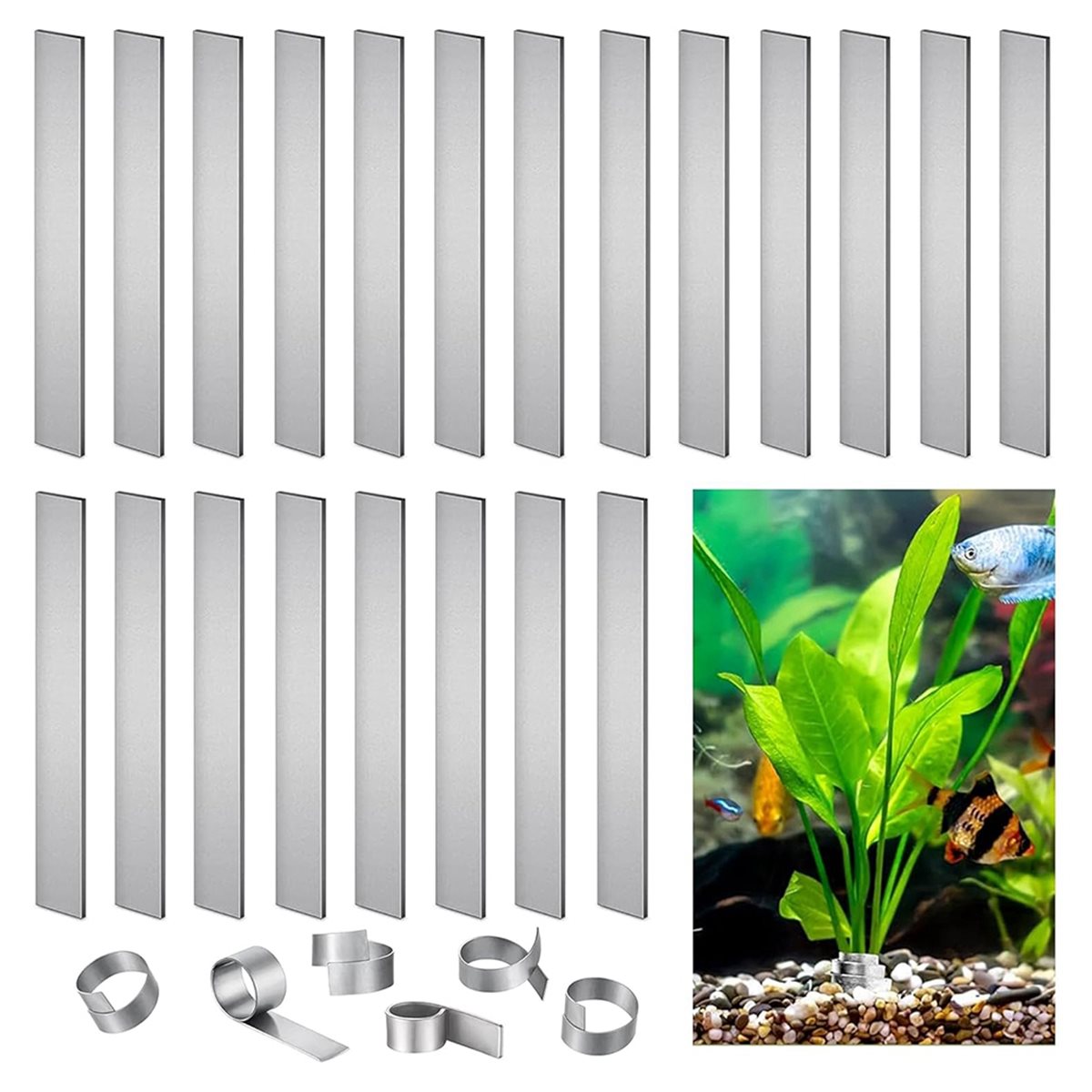 ตัวหน่วงน้ำหนักต้นไม้ในตู้ปลา  - Live Plant Aquarium บทวิจารณ์และราคา