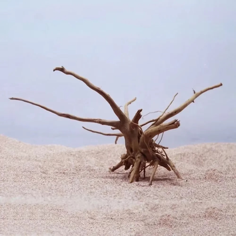 ไม้ลอยน้ำธรรมชาติสำหรับตกแต่งต - Aquarium Driftwood บทวิจารณ์และราคา