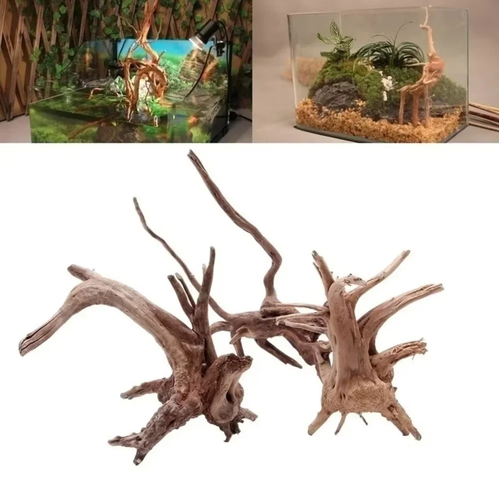 ไม้ลอยน้ำธรรมชาติสำหรับตกแต่งต - Aquarium Driftwood บทวิจารณ์และราคา