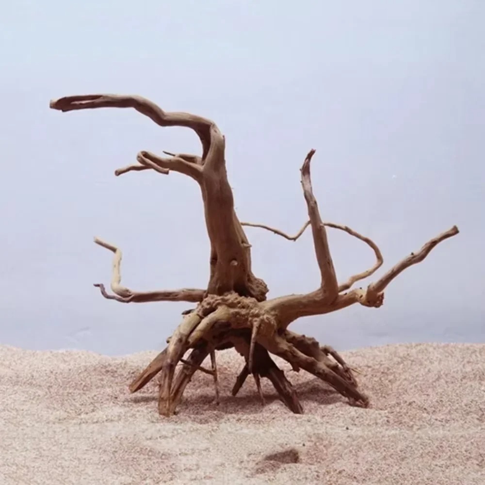 ไม้ลอยน้ำธรรมชาติสำหรับตกแต่งต - Aquarium Driftwood บทวิจารณ์และราคา