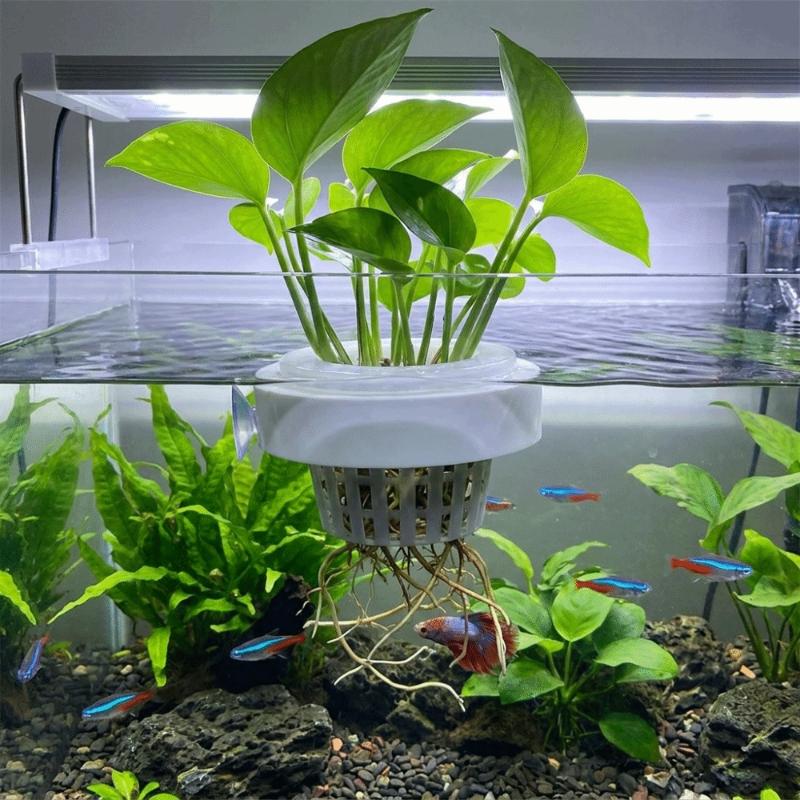 ตะกร้าสำหรับปลูกพืชน้ำแบบลอยตั - Plant Aquarium Pot บทวิจารณ์และราคา