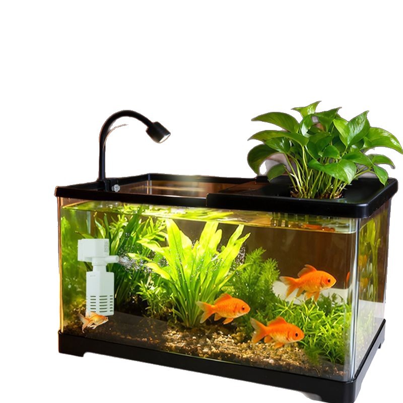 ตู้ปลาสำหรับห้องนั่งเล่น พร้อม - Aquarium Plants Live บทวิจารณ์และราคา
