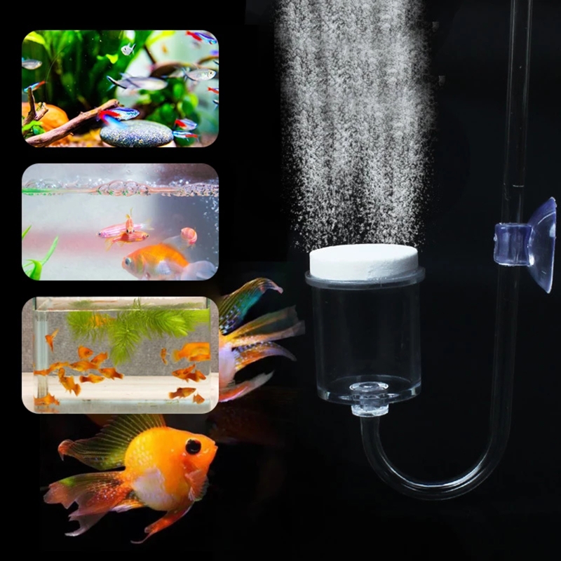DIY ชุดกระจาย CO2 4ชิ้นสำหรับต - Aquarium Liquid Carbon บทวิจารณ์และราคา